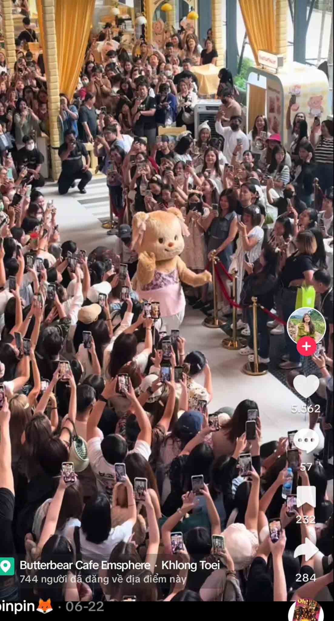 mascot-gau-butter-bear-3